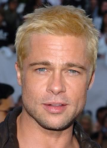 Brad Pitt in 2005